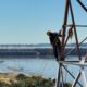 alt="Operarios instalando equipos sobre una torre metálica para la prueba de sirenas de Salto Grande con el río y la represa de fondo"