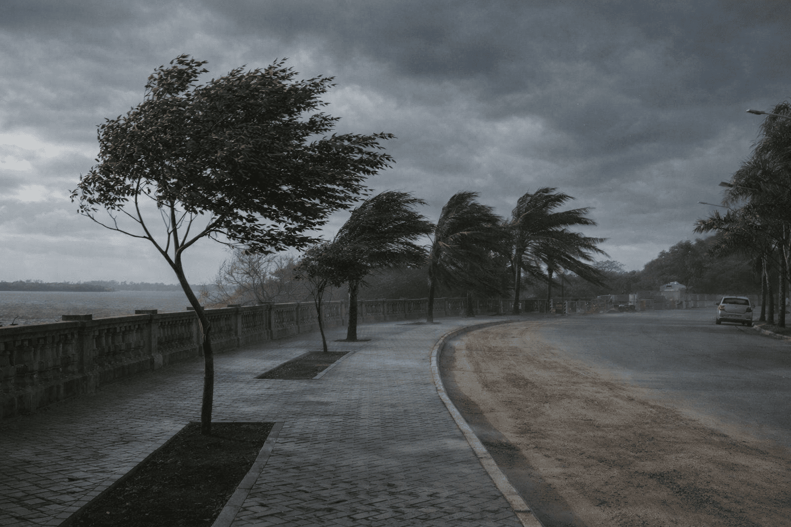 alt="Árboles bajo ráfagas intensas durante las alertas por vientos en Entre Ríos"