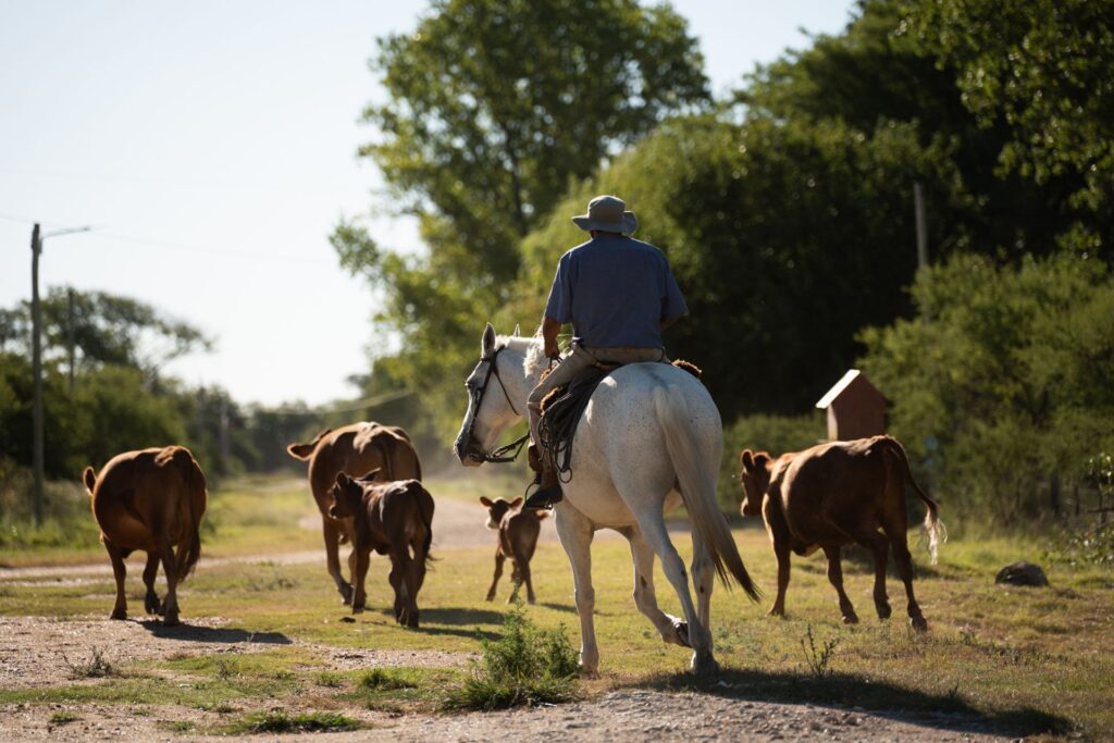 alt="Turismo rural en Los Charrúas bajo el marco de la plataforma STAR en Entre Ríos"