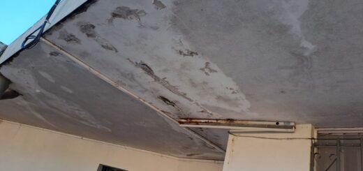 alt="Primer plano de cielorraso descascarado y con humedad previo a la reparación de la Escuela Artigas de Concordia"