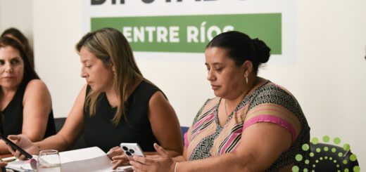 alt="Diputada de Entre Ríos exponiendo en reunión de comisión sobre el protocolo contra la violencia laboral en la Cámara de Diputados de Entre Ríos"