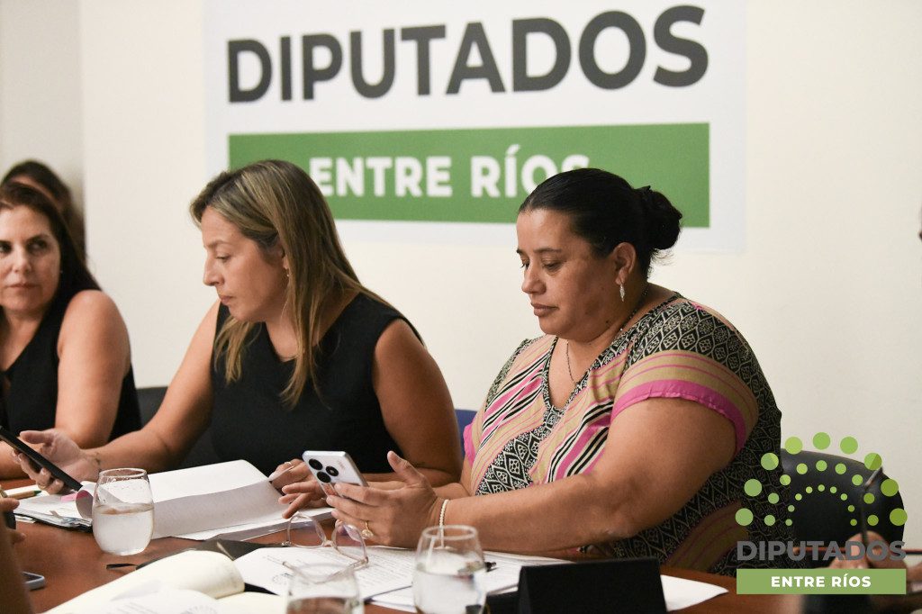 alt="Diputada de Entre Ríos exponiendo en reunión de comisión sobre el protocolo contra la violencia laboral en la Cámara de Diputados de Entre Ríos"