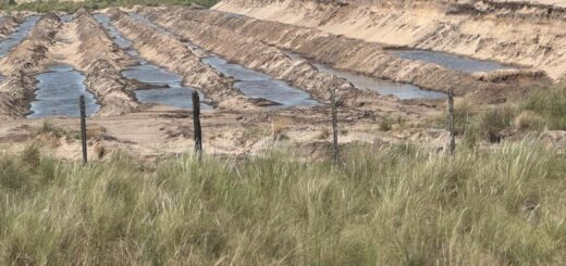 alt:="Zona de extracción de arena silícea en Ibicuy, Entre Ríos, para Vaca Muerta, con depresiones y agua aflorante en el paisaje de dunas (foto: Rubén Quintana)"