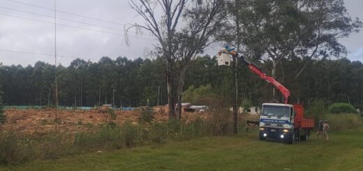 alt="Operarios e hidroelevador trabajando sobre la línea de media tensión afectada por la caída de un árbol durante el corte de luz en Calabacilla"