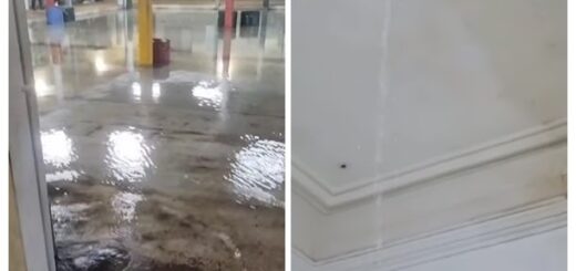alt="Daños por lluvia en la Escuela 8 y en la Escuela 55 de Concordia"