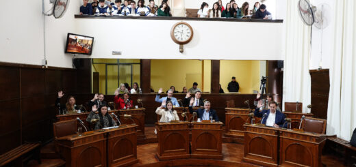 alt="): Sesión del Concejo Deliberante de Concordia sobre financiamiento de la universidad pública, 14 de mayo de 2026"