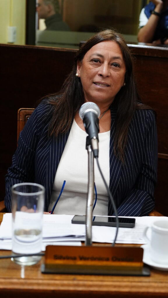 alt="concejal Silvina Ovelar durante la sesión en que se aprobó la adhesión a la Ley Nacional de Prevención del Suicidio"