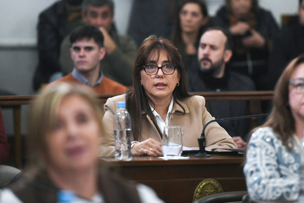 alt="La senadora Gladys Domínguez durante la sesión de ingreso de la Reforma Previsional Entre Ríos al Senado de la provincia"