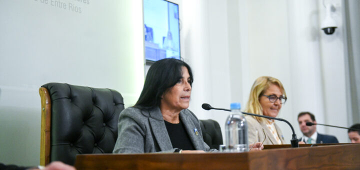 alt="Alicia Aluani preside la sesión de ingreso de la Reforma Previsional de Entre Ríos en el Senado, 27 de mayo de 2026"