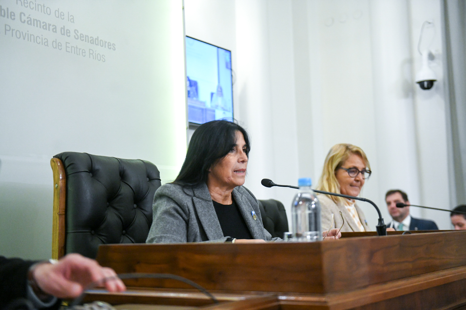 alt="Alicia Aluani preside la sesión de ingreso de la Reforma Previsional de Entre Ríos en el Senado, 27 de mayo de 2026"