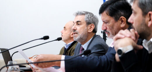 alt="Debate de la reforma previsional Entre Ríos en el Senado: Boleas y Bagnat exponen ante los senadores en el Salón de los Escudos, 10 de junio de 2026"