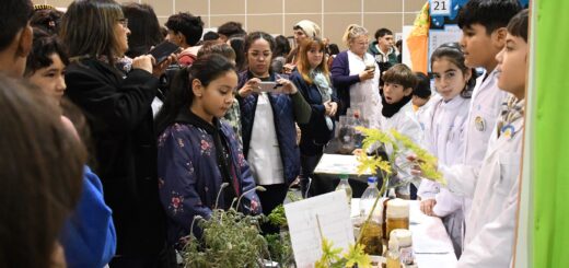 alt="Estudiantes de primaria exponen sus proyectos botánicos y ambientales ante vecinos en la feria Eco Ciencias en Concordia"