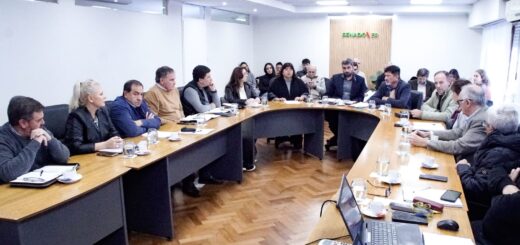 alt="Senadores entrerrianos debaten la reforma previsional en Entre Ríos en una mesa de comisiones conjunta de la legislatura provincial"