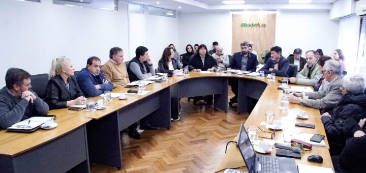 alt="Senadores entrerrianos debaten la reforma previsional en Entre Ríos en una mesa de comisiones conjunta de la legislatura provincial"