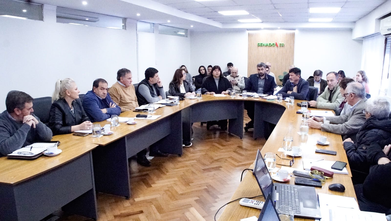 alt="Senadores entrerrianos debaten la reforma previsional en Entre Ríos en una mesa de comisiones conjunta de la legislatura provincial"