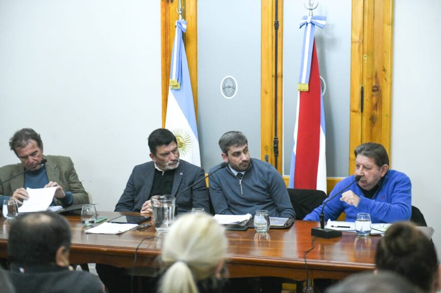 alt="Especialistas en Derecho Previsional durante la audiencia de comisión previa al pedido de informe actuarial sobre la reforma previsional"